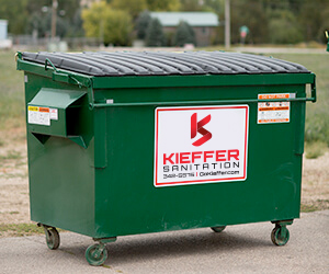 Image of 2-yard standard commercial garbage bin.